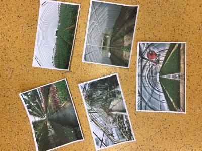 Foto des Albums: Martini for future