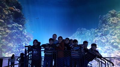 Foto des Albums: Gasometer