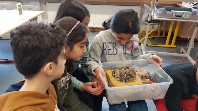Foto des Albums: Insektenhotels