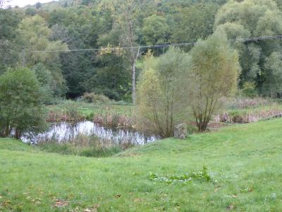 Arbeitseinsatz an den Amphibienteichen in der Steinbach   (Bild vergr&ouml;&szlig;ern)