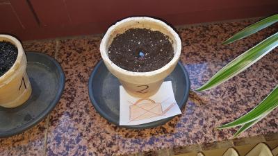 22. M&auml;rz 2020 