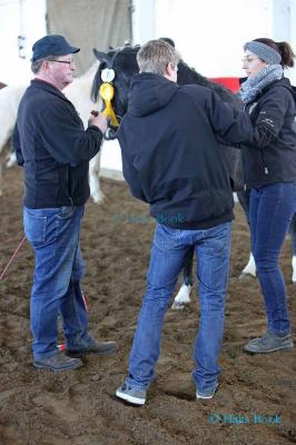 Foto des Albums: Freispringwettbewerb der Ponys in Wulkow (14.03.2020)