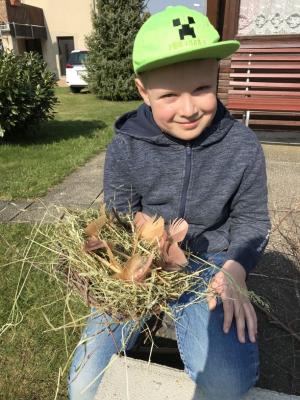 Lukas&acute; Nest 