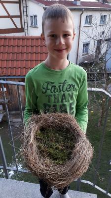 Willi&acute;s Vogelnest 
