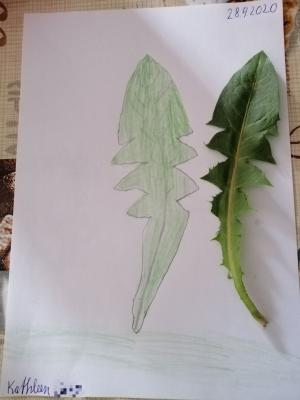 Kunstaufgabe Klasse 2 von Kathleen 