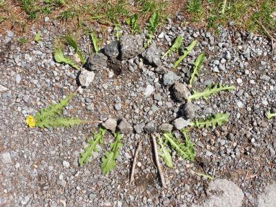 Foto des Albums: Lernen daheim