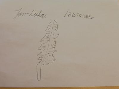 Kunstaufgabe Klasse 2 von Jan-Lukas 