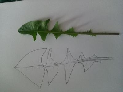 Kunstaufgabe Klasse 2 von Vincent 