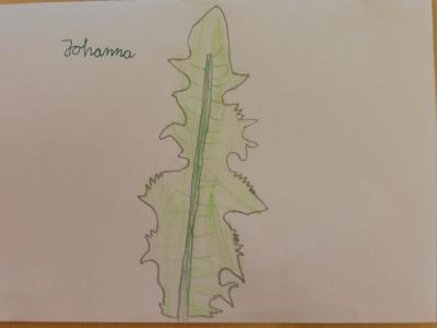 Kunstaufgabe Klasse 2 von Johanna 