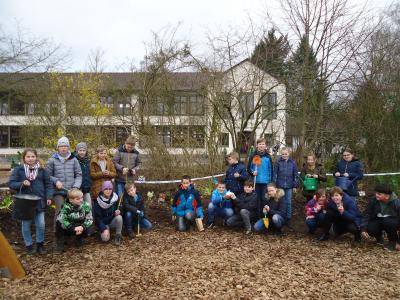 Foto des Albums: Pflanzaktion der Klasse 4a