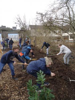 Foto des Albums: Pflanzaktion der Klasse 4a
