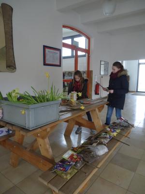 Foto des Albums: Pflanzaktion der Klasse 4a