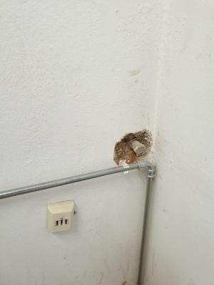 Foto des Albums: Eindrücke der Bauarbeiten