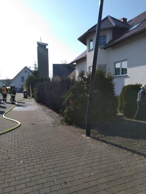 Foto des Albums: brennt Hecke - Otto-Benecke-Weg