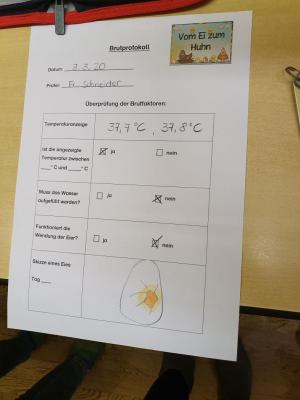 Brutprotokoll  (Bild vergr&ouml;&szlig;ern)