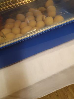 Foto des Albums: Vom Ei zum Huhn