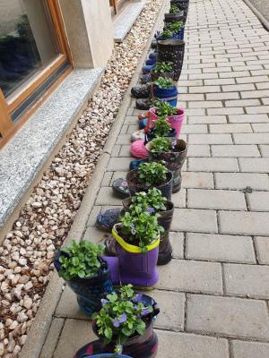Foto des Albums: Gummistiefel - Schulgarten und Bildungshaus