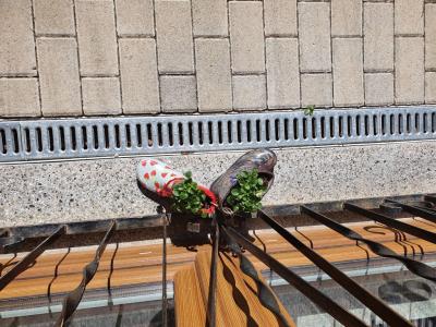 Foto des Albums: Gummistiefel - Schulgarten und Bildungshaus