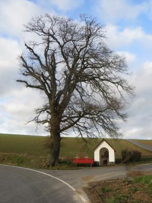 Foto des Albums: Heiligenhäuschen