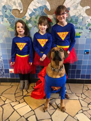 Foto des Albums: Fasching 2019