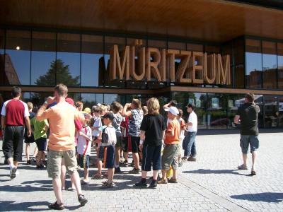 Foto des Albums: Müritz