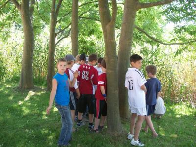 Foto des Albums: Müritz