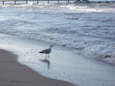 Foto des Albums: Sellin