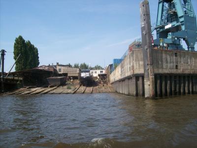 Foto des Albums: Friedrichskoog