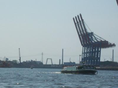 Foto des Albums: Friedrichskoog