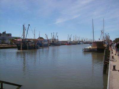 Foto des Albums: Friedrichskoog