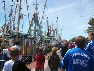 Foto des Albums: Friedrichskoog