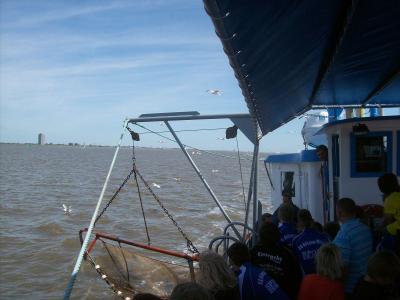 Foto des Albums: Friedrichskoog