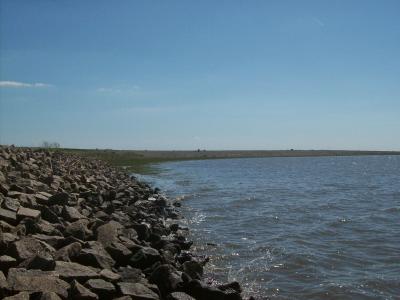 Foto des Albums: Friedrichskoog