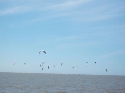 Foto des Albums: Friedrichskoog