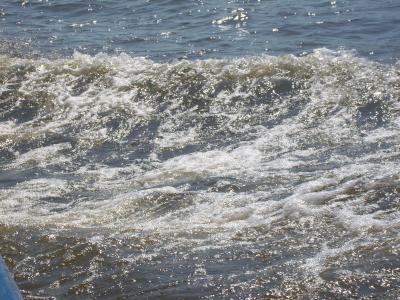Foto des Albums: Friedrichskoog