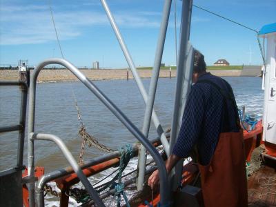 Foto des Albums: Friedrichskoog