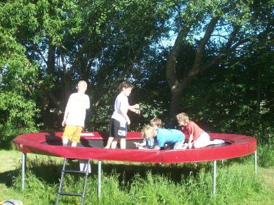 Foto des Albums: Friedrichskoog