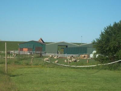 Foto des Albums: Friedrichskoog