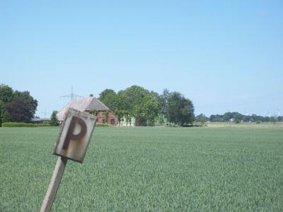Foto des Albums: Friedrichskoog