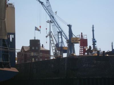 Foto des Albums: Friedrichskoog