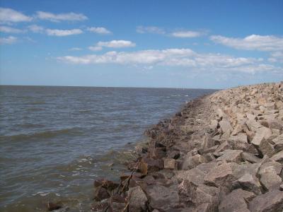 Foto des Albums: Friedrichskoog