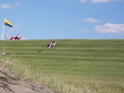 Foto des Albums: Friedrichskoog
