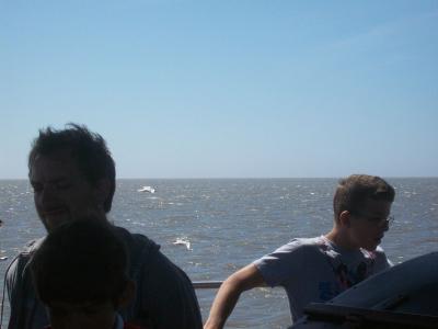 Foto des Albums: Friedrichskoog