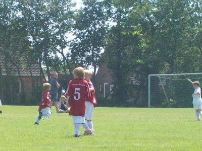 Foto des Albums: Friedrichskoog