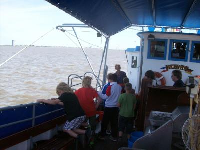 Foto des Albums: Friedrichskoog