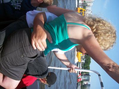 Foto des Albums: Friedrichskoog