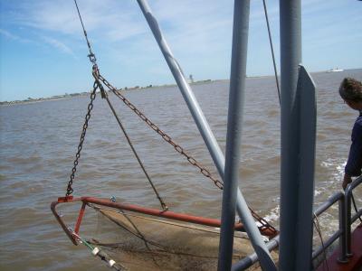 Foto des Albums: Friedrichskoog