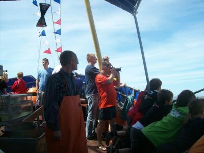 Foto des Albums: Friedrichskoog