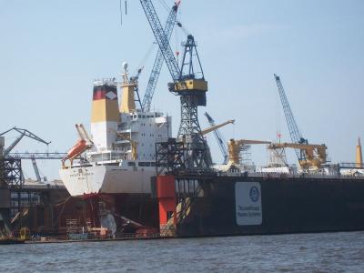 Foto des Albums: Friedrichskoog