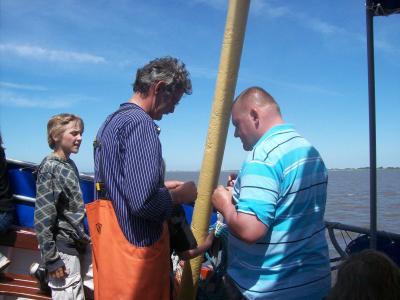 Foto des Albums: Friedrichskoog